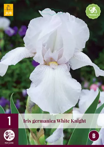 Iris WHITE KNIGHT (x1)