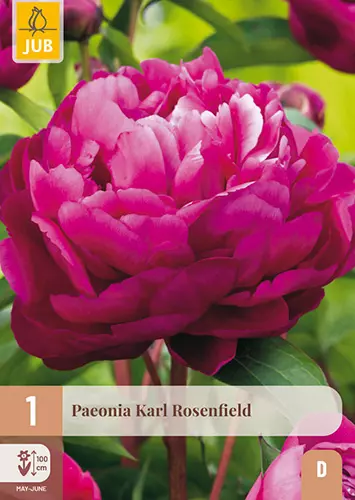 Potonika KARL ROSENFIELD (x1)